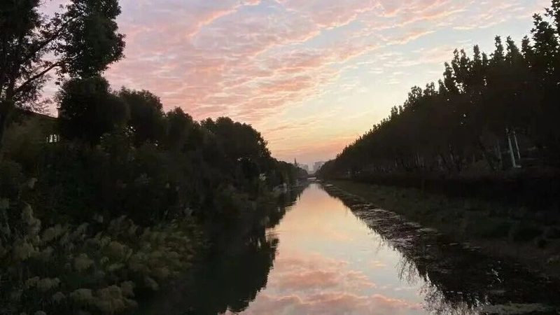 公司注销，如何选择高效代办服务？**