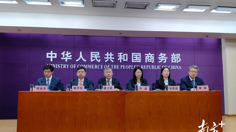 商标转让尽职调查：全面解析流程与关键要点**